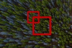 Rheticus Forest Carbon Offset