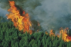 Il telerilevamento per gli incendi boschivi