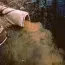 environmental crimes
